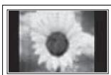 SAMSUNG PS50B550T4W - A still image displayed too long may cause permanent damage to the PDP Panel. - 1