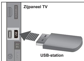 Zijpaneel TV USB-station