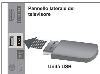Pannello laterale del televisionore Unità USB