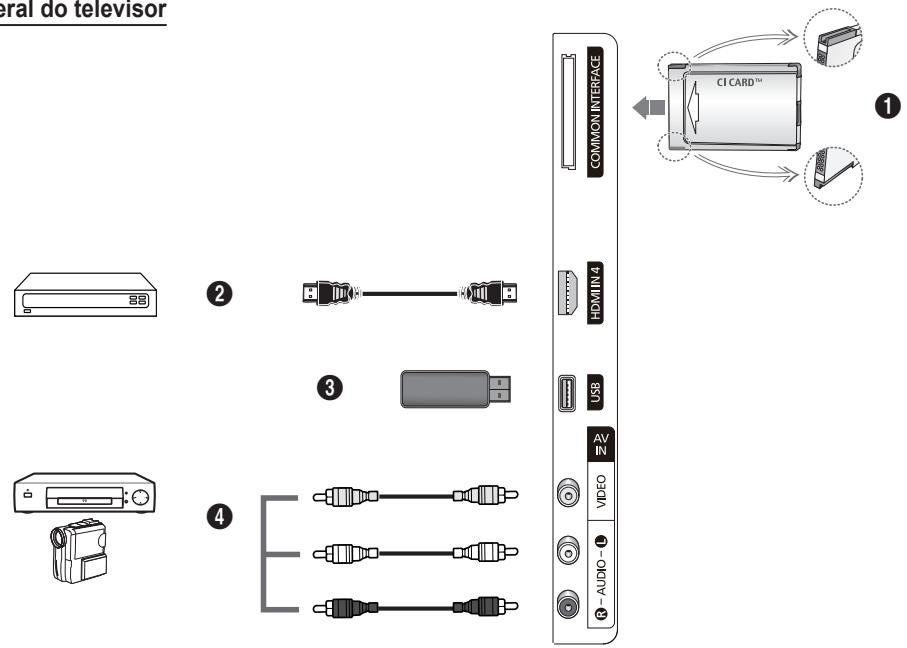 General do televisor ② ③ ④ COMMON INTERFACE HOMIN-4 USB AV IN VIDEO AUDIO - L R
