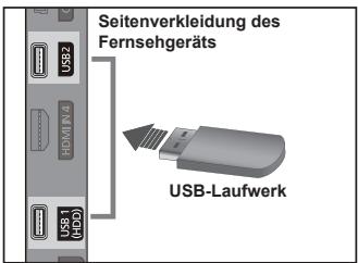 Seitenverkleidung des Fernsehgeräts USB-Laufwerk