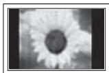 SAMSUNG PS50B650S1W - A still image displayed too long may cause permanent damage to the PDP Panel. - 1