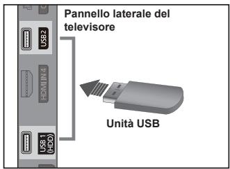Pannello laterale del televisionore Unità USB