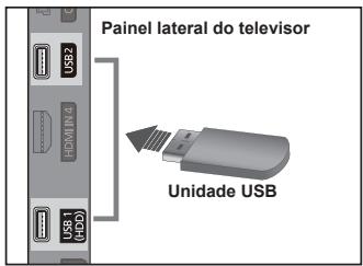 Painel lateral do telesior Unidade USB