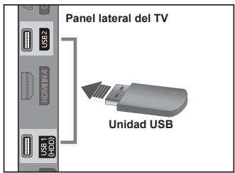 Panel lateral del TV Unidad USB