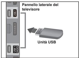 Pannello laterale del televisore Unità USB