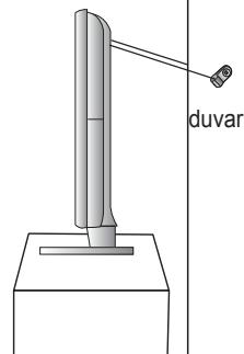 duvar