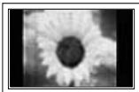 SAMSUNG PS50B650S1W - Une image fixe affichée trop longtemps peut causer des dommages permanents à l'écran à plasma. - 1