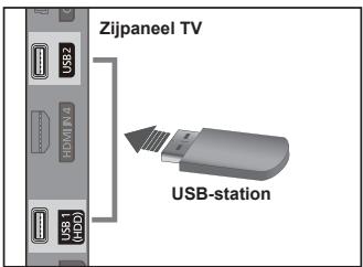 Zijpaneel TV USB-station