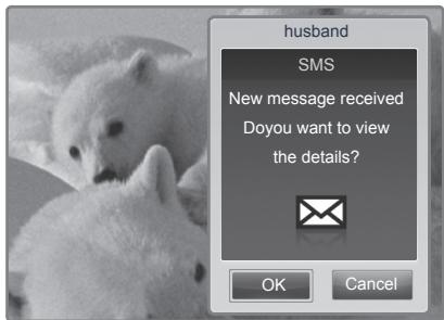 husband SMS New message received Doyou want to view the details? OK Cancel