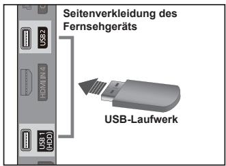 Seitenverkleidung des Fernsehgeräts USB-Laufwerk
