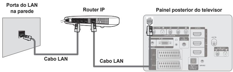 Porta do LAN na parede Cabo LAN Router IP Cabo LAN Painel posterior do teilevisor