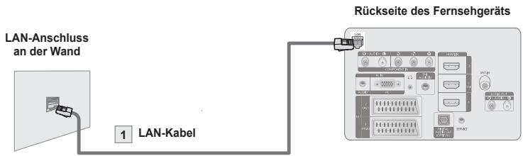 LAN-Anschluss an der Wand 1 LAN-Kabel Rückseite des Fernsehgeräts