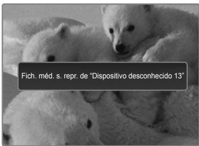 Fich. méd. s. repr. de "Dispositivo desconhecido 13"