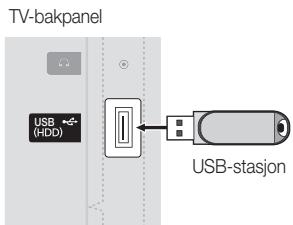 SAMSUNG UE-22C4005PW - Koble til en USB-enhet - 1