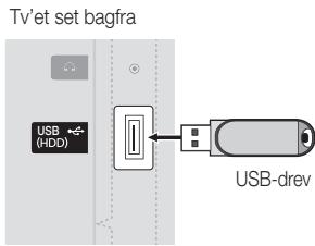 SAMSUNG UE-22C4005PW - Tilslutining til en USB-enhed - 3