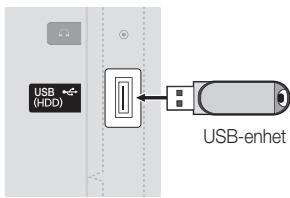 SAMSUNG UE-22C4005PW - Ansluta en USB-enhet - 3
