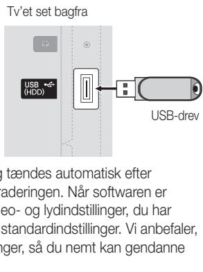 SAMSUNG UE-22C4005PW - Installation af den seneste version - 1