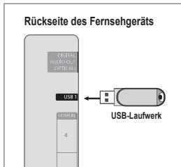 SAMSUNG UE-46B6000 - Anschließen eines USB-Geräts - 1