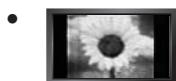 SAMSUNG UE-46B7000 - □ Precauciones al mostrar en la pantalla una imagen fija - 1