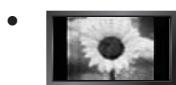 SAMSUNG UE-46B7000 - ☐ Precautions When Displaying a Still Image - 1
