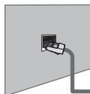 SAMSUNG UE-46B7020WP - E' possible collegare il teilevisore una LAN mediante un Router. - 1