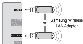 SAMSUNG UE-46B7020WP - Network Connection - Wireless - 1