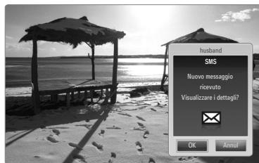 SAMSUNG UE-46B8000XW - Uso della funzione Message - 1