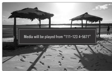 SAMSUNG UE-46B8000XW - Using the Media Function - 1