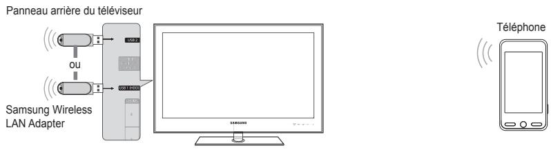 SAMSUNG UE-46B8000XW - Connexion au Centre de réseau domestique - 1