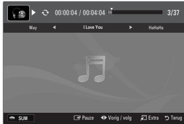 SAMSUNG UE-46B8000XW - De geselecteerde muziekbestanden afspelen - 1