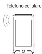 SAMSUNG UE-46B8000XW - Collegamento a Centro rete dom - 2