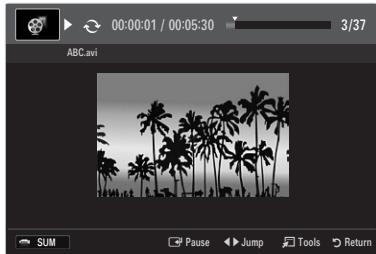 SAMSUNG UN40B6000 - Playing a movie file - 1