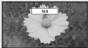 SAMSUNG UN40B6000 - Format - 1