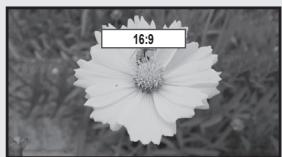 SAMSUNG UN40B6000 - Size - 1