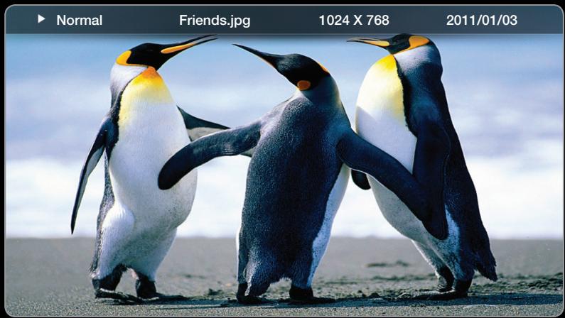 SAMSUNG UE40D7000 - Visualisation d'une photo (ou d'un diaporama) - 1