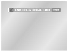 SAMSUNG DVD-HD841 - Using the AUDIO button - 1