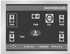 SAMSUNG DVD-HD841 - Configuration des options d'affichage - 3