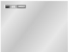 SAMSUNG DVD-HD841 - Using the ANGLE button - 1