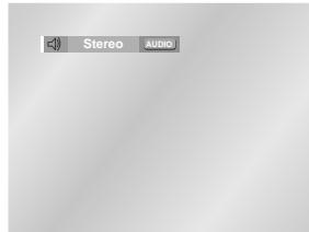 SAMSUNG DVD-HD841 - Using the AUDIO button - 2
