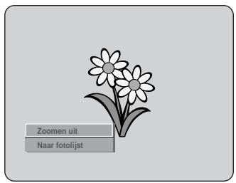Zoomen uit Naar fotolijst