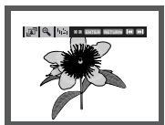 SAMSUNG DVD-P361K - Picture CD Playback - 1