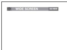 SAMSUNG DVD-P560 - To play back using aspect ratio (DVD) - 1