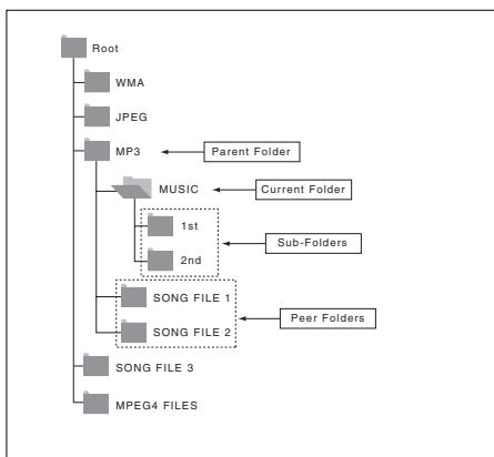 SAMSUNG DVD-P560 - Folder Selection - 1