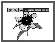 SAMSUNG DVD-P560 - Hinweis - 1