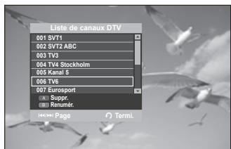 SAMSUNG DVD-SH897 - Liste des canaux(numérique) - 2