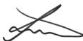 SAMSUNG HM 1200 - Oreillette Bluetooth : HM1200 - 1