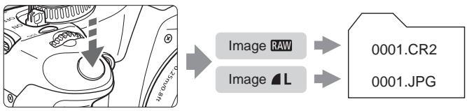 CANON EOS 450D - A propos de RAW+4L - 1