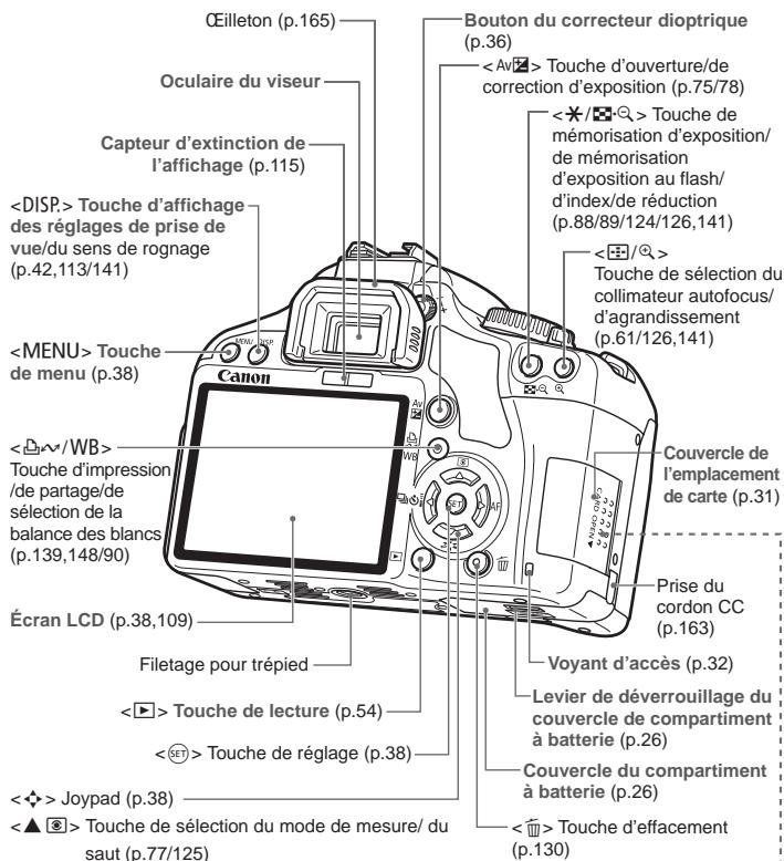 CANON EOS 450D - Objectif EF-S 18-55 mm f/3,5-5,6 IS - 3
