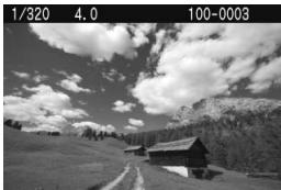 CANON EOS 450D - Image captured - 1